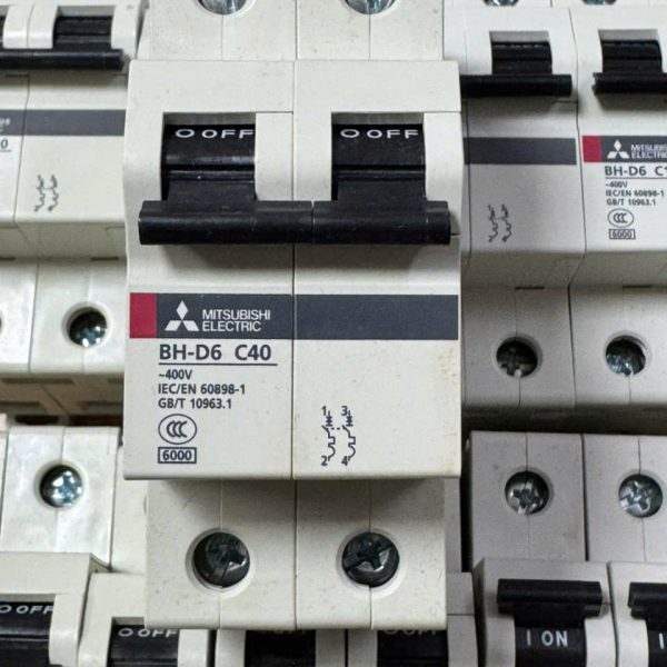 CẦU DAO ĐIỆN BH-D6 2P 40A TYPE C N CẦU DAO ĐIỆN BH-D6 2P 40A TYPE C N